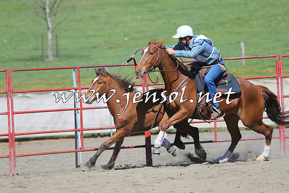 TumbarumbaStockmensChallenge_0411