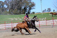 TumbarumbaStockmensChallenge_0246