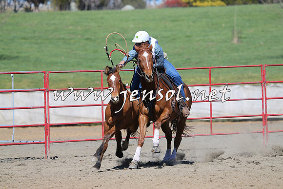 TumbarumbaStockmensChallenge_0457