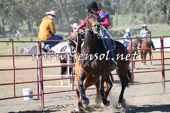 TumbarumbaStockmensChallenge_0230