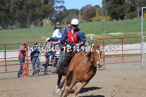TumbarumbaStockmensChallenge_0556