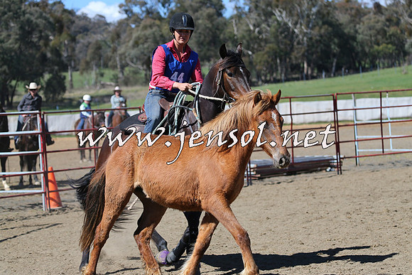 TumbarumbaStockmensChallenge_0209
