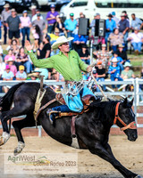 Broncs