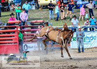 CoomaRodeo2023_0356