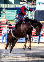 CoomaRodeo2023_0401
