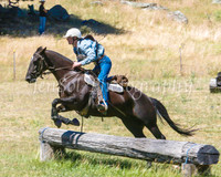 SnowyMountainsMusterMon_0285
