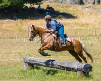 SnowyMountainsMusterMon_0303