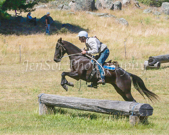 SnowyMountainsMusterMon_0321