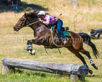 SnowyMountainsMusterMon_0312