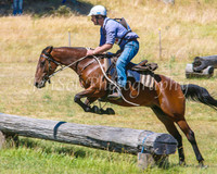 SnowyMountainsMusterMon_0330