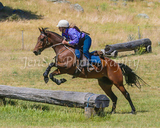 SnowyMountainsMusterMon_0358