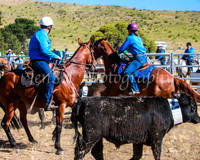 SnowyMountainsMusterMon_0024
