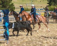 SnowyMountainsMusterMon_0020