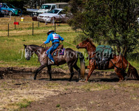 SnowyMountainsMusterMon_0027
