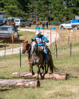 SnowyMountainsMusterMon_0031