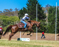 SnowyMountainsMusterMon_0103