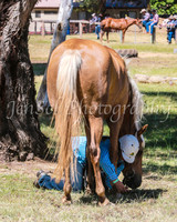 SnowyMountainsMusterMon_0118