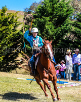 SnowyMountainsMusterMon_0114