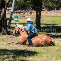 SnowyMountainsMusterMon_0128