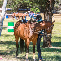SnowyMountainsMusterMon_0141