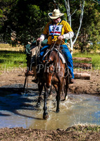 SnowyMountainsMuster_0028