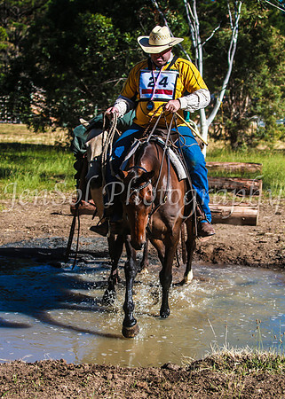 SnowyMountainsMuster_0028