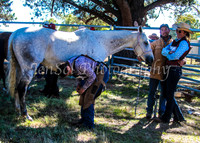SnowyMountainsMuster_0031