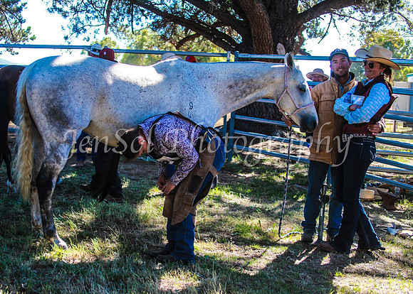 SnowyMountainsMuster_0031
