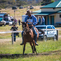 SnowyMountainsMuster_0051