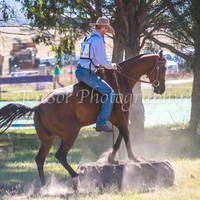 SnowyMountainsMuster_0056