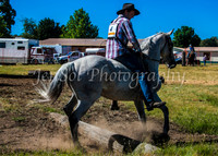 SnowyMountainsMuster_0078