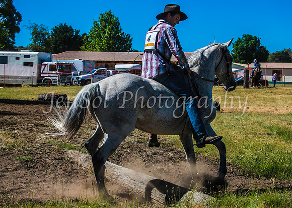 SnowyMountainsMuster_0078