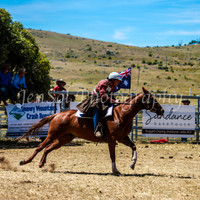 SnowyMountainsMuster_0141