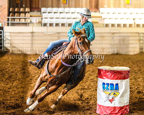 RealDealRodeoFeb2014_0294