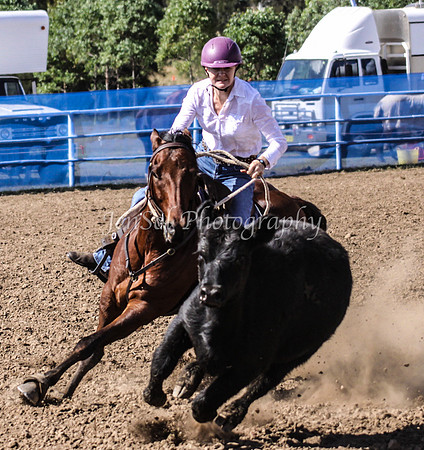 IMG_0348CCCSun
