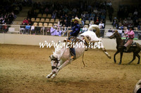 Saddle