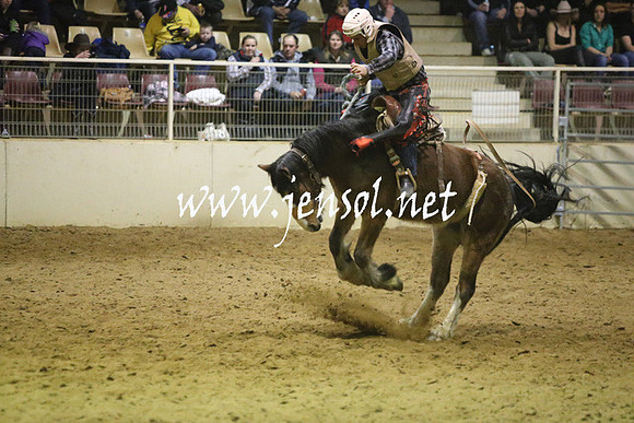 RDAug2013_0549
