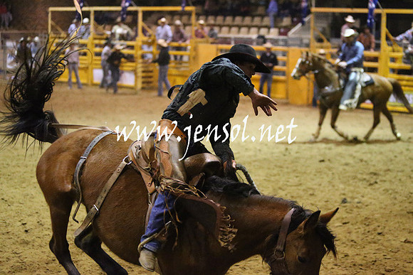 RDAug2013_0545