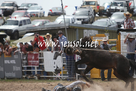 BungendoreRodeo2013_1129