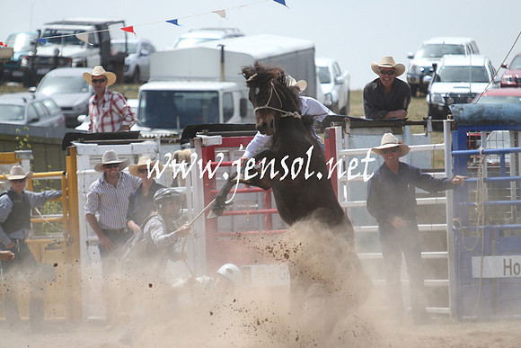 BungendoreRodeo2013_1114