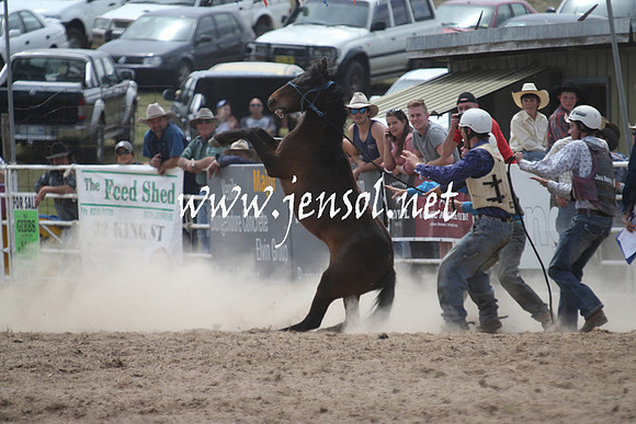 BungendoreRodeo2013_1035
