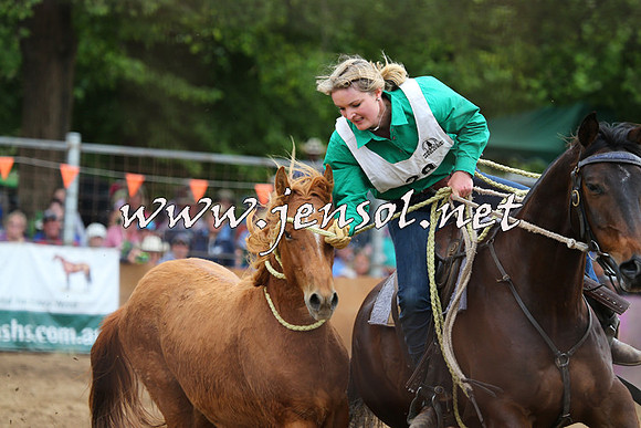 BattleFinals_5275