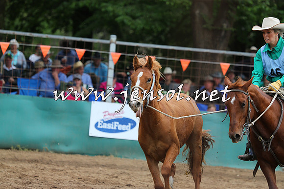 BattleFinals_5349
