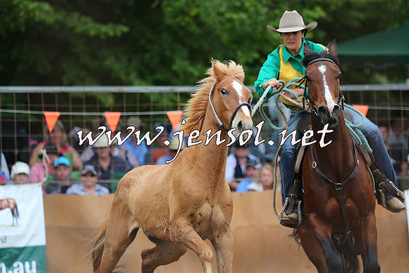 BattleFinals_5184