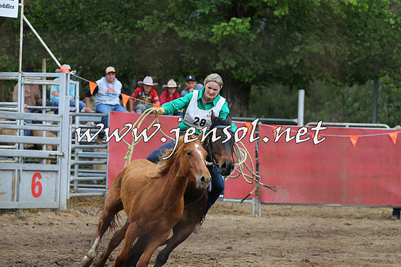 BattleFinals_5231