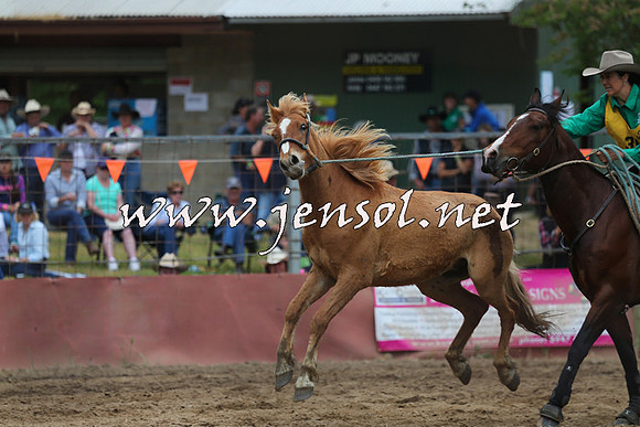BattleFinals_5176