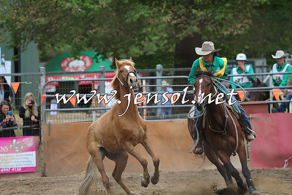 BattleFinals_5165