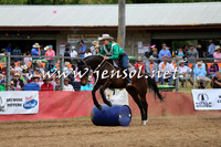 BattleFinals_5037