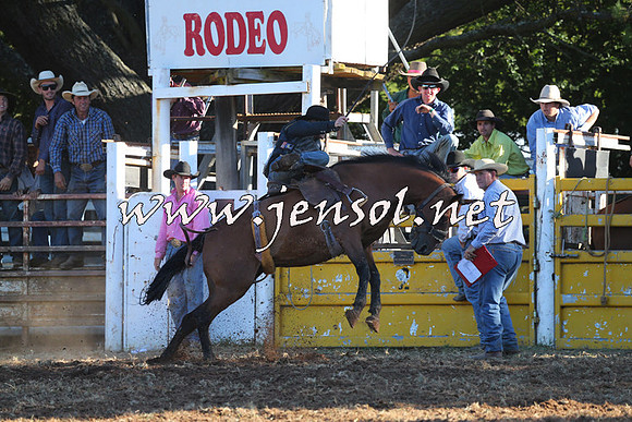 Taralga2015_6559
