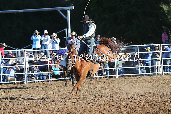 Taralga2015_6591